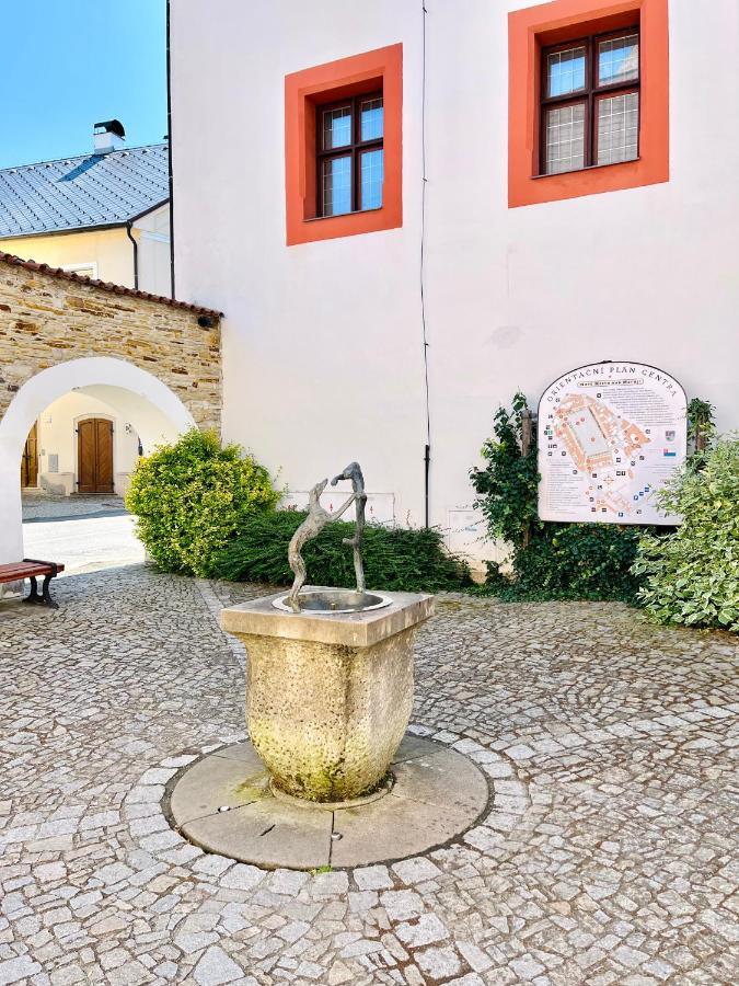Apartman Elen Nové Město nad Metují المظهر الخارجي الصورة